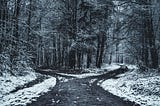 Image of a forest path that forks. The forest is covered in snow.