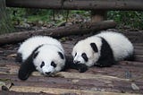 Intro to Exploratory Data Analysis: Pandas profiling vs Pandas.
