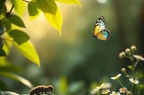 The Power of Transformation: Lessons from the Butterfly’s Incredible Journey