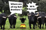 NEW YEAR BULL COMMUNITY