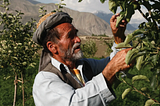 Islamic Finance in Action: Values-Based Banking in Afghanistan
