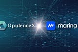 The Synergistic partnership Between Marina Protocol and OpulenceX