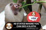 Where Can I See a Sloth in the US