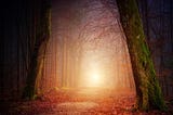 Could a fifth dimension solve the measurement problem?