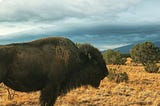 From Buffalo Hump to Dowager’s Hump