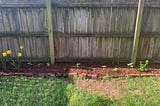 Genomics, or mulch?