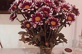 chrysanthemums