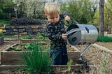 Grande croissance, petits espaces