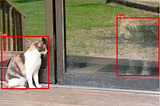 The Evolution of Object Detection: