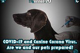 COVID-19 and Canine Corona Virus. Are we and our pets prepared?