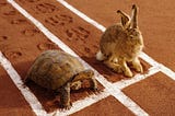 Are you a tortoise or a hare?