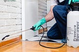 End of Lease Treatment Control for Pest-Free Rental Properties