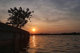 The sun rises at the horizon in the backwaters with a silhouette of a tree on the left.