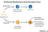 Viruses as Allies: Exploiting Virotherapy for Targeted Cancer Treatment