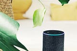 What’s causing the exponential rise of voice assistants?