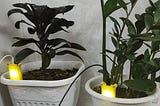 IoT — pt. 2 — Soil moisture sensor