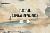 Maximal Capital Efficiency Guide