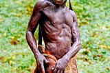 The Evolution of Humankind: A Summary of Sapiens by Yuval Noah Harari