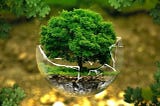 The Global Climatech Push