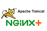 Nginx Reverse Proxy