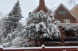 Finding Joy in the Winter Storm