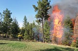 Get Ready: May 3 is Wildfire Community Preparedness Day