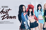 User Experience: YG Family website