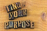 What is Your Purpose in Life?