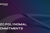 KZG Polynomial Commitments