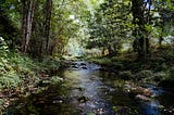 The Sound of Flowing Water