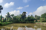 Sadhana-Chatustaya