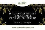 IS PALAMIDAS BIGGEST TURKISH TABLE | OLIVE OIL PRODUCER?