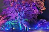 Trees illuminated by colorful lighting; a few people in yukatas walk by.
