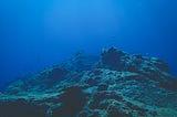 Beyond the Sea