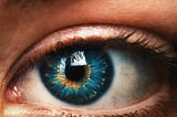 Some Misperceptions Regarding Vision — Our Sight Dilemma