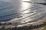 On the hunt for giant microbes along the California coast