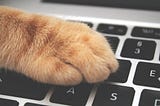 A ginger cat’s paw on a macbook computer keyboard.