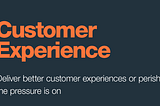 Deliver Better Customer Experience or Perish