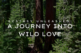 Ecstasy Unleashed: A Journey into Wild Love