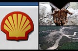 Corporate Divestment and Environmental Liability in the Delta: the Devil in the Details.