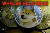 It was Doge day afternoon all over again as Dogecoin (DOGE) continued its assault on the…
