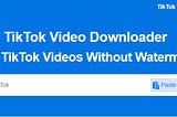 TikMate: TikTok Saver without Watermark