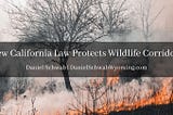 New California Law Protects Wildlife Corridors