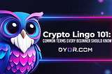 Crypto Lingo 101: Common Terms Every Beginner Should Know