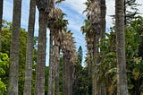 Botanical garden