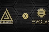 Introduction to Evolve