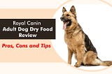 Royal Canin Adult Dog Dry Food Review: Pros, Cons and Tips