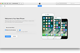 How to Set Up Your New iPhone