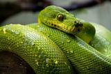 Python Dict Comprehension