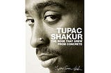 BOOK REVIEW: THE NASCENT POETRY OF TUPAC IN PAGE